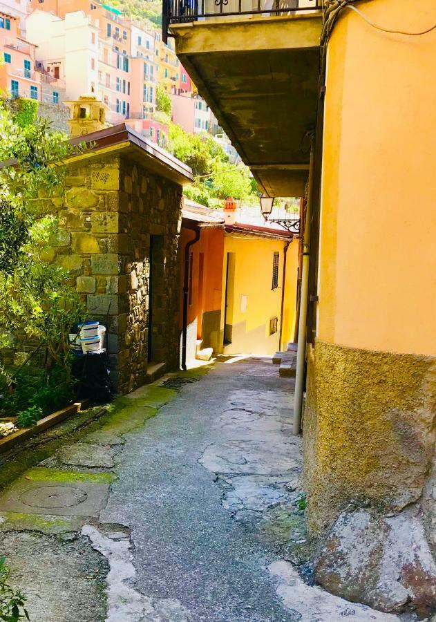 Willy'S Apartment Manarola Exterior photo